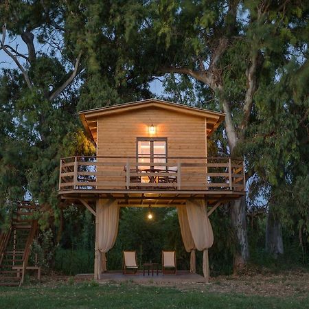 River Treehouse Laganas Exterior photo