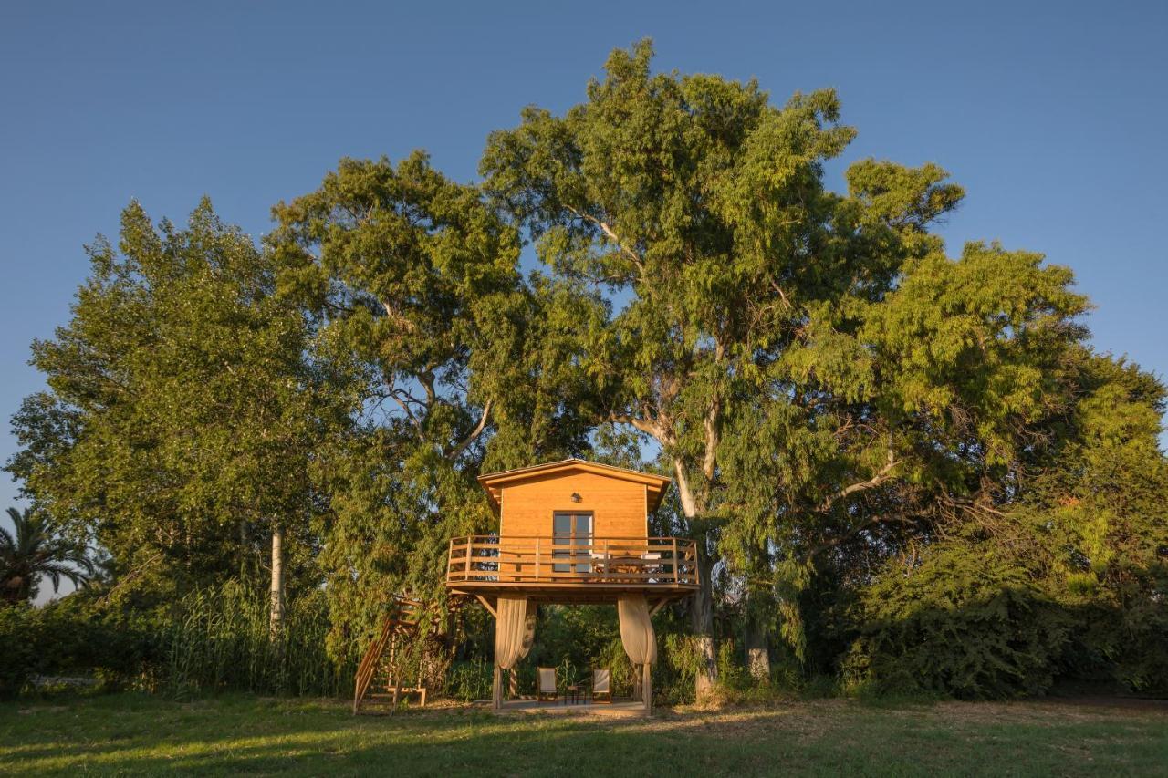 River Treehouse Laganas Exterior photo
